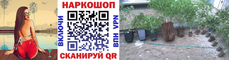 Наркота Шахунья Cocaine  Мефедрон  АМФ  ГАШ  Alpha PVP 