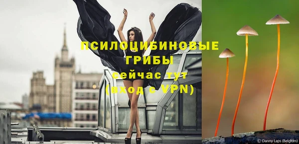 мдпв Приозерск