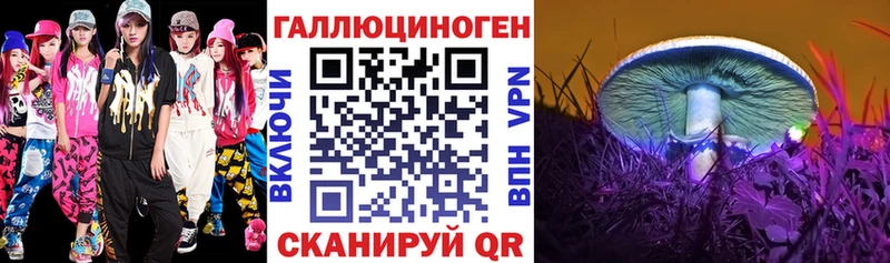 omg онион  где купить наркотик  Шахунья  Галлюциногенные грибы MAGIC MUSHROOMS 